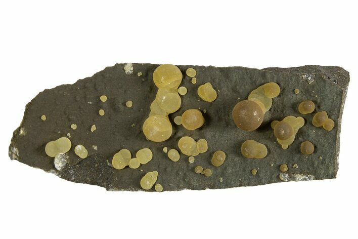 Globular Yellow-Brown Calcite Formations on Basalt - Italy #325621